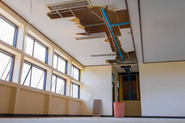  Wesleyville, PA Water damage restoration Pros