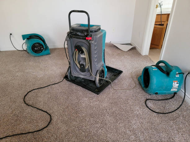 Best Water damage cleanup near me  in Wesleyville, PA