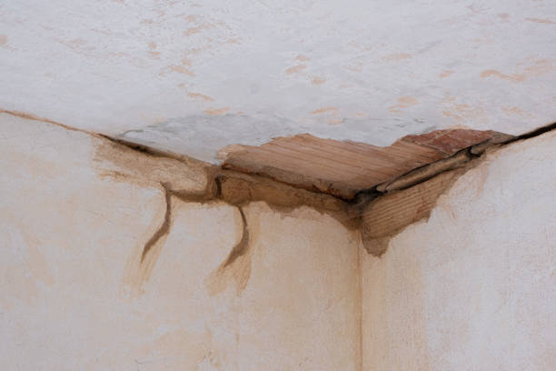 Best Emergency water damage restoration  in Wesleyville, PA