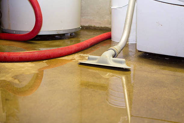 Best Sewage cleanup and water damage restoration  in Wesleyville, PA