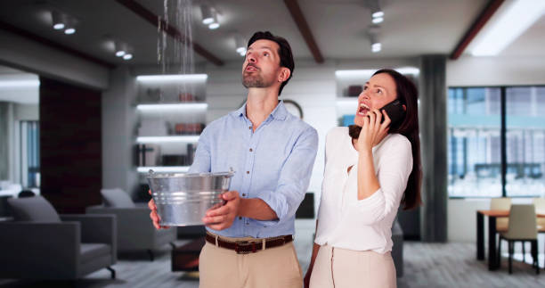 Best Residential water damage restoration  in Wesleyville, PA