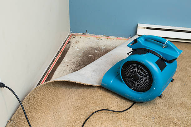 Best Commercial water damage restoration  in Wesleyville, PA